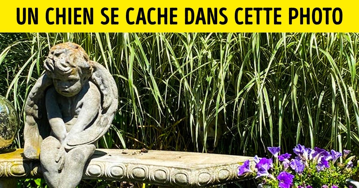 Test : Trouve les animaux qui se sont astucieusement cachés sur ces 13 photos Test : Trouve les animaux qui se sont astucieusement cachés sur ces 13 photos
