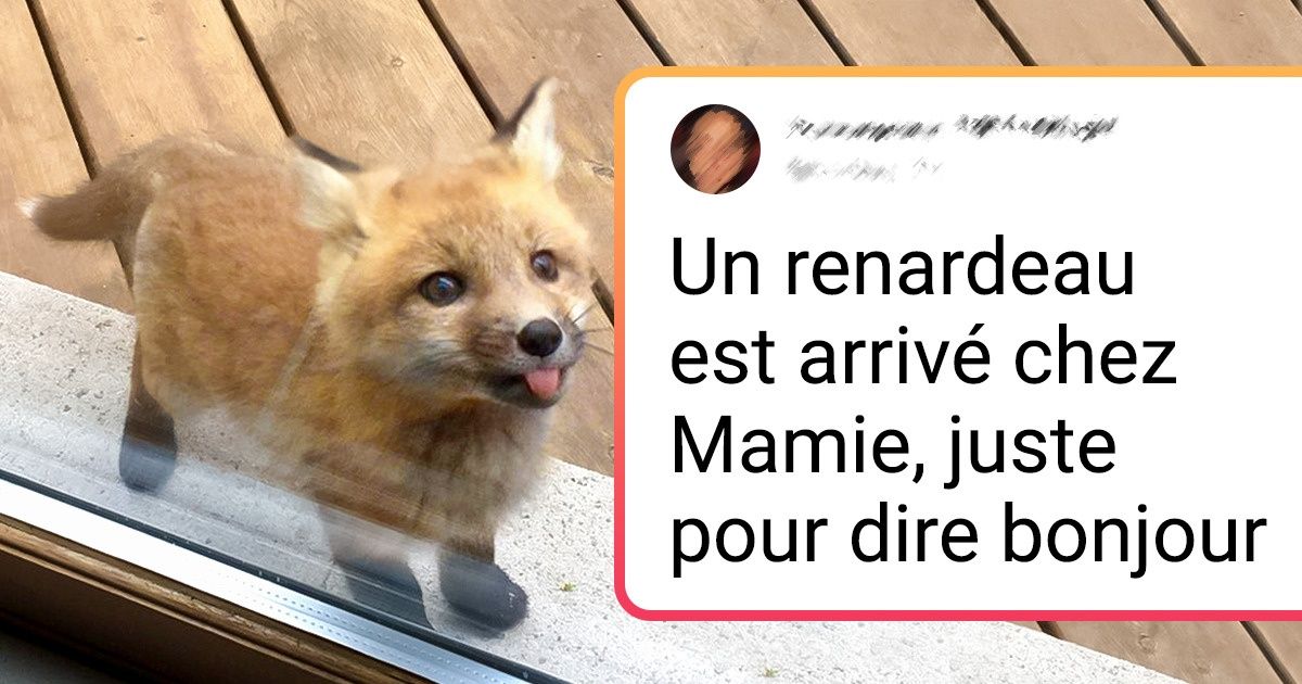 24 Bébés adorables qui nous montrent la perfection de la nature