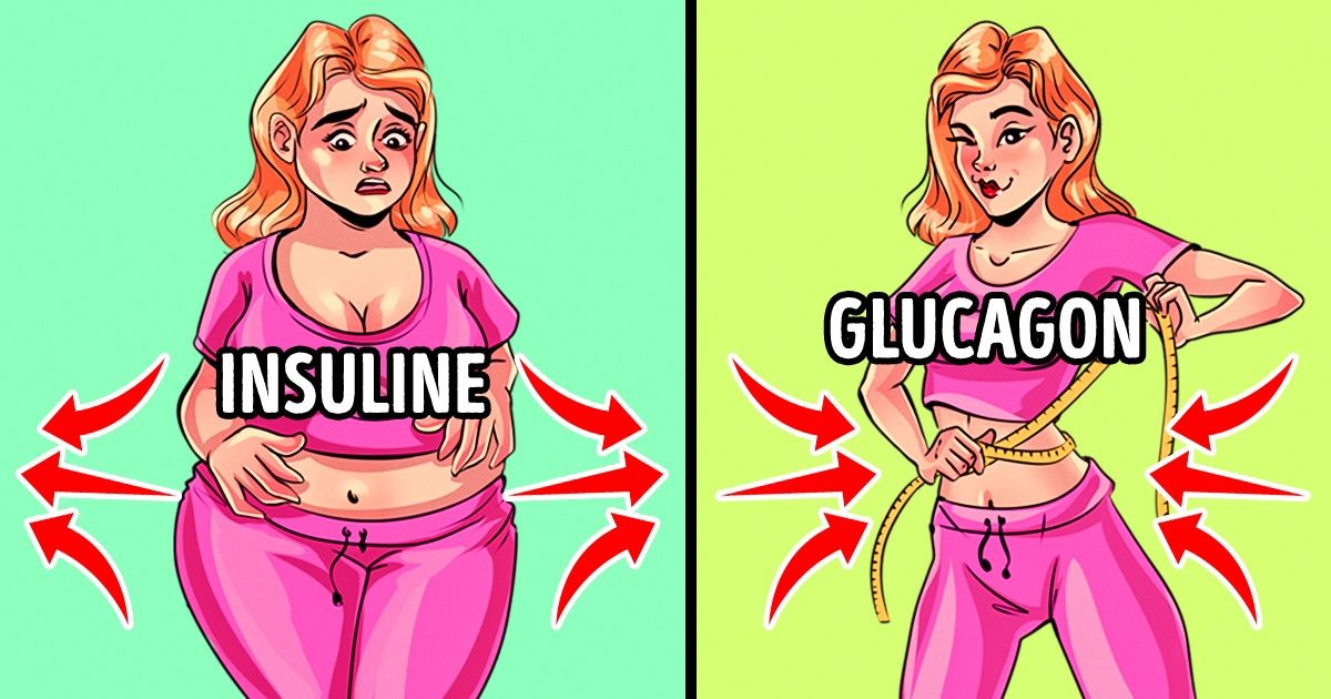 6 Manières d’activer les hormones qui brûlent les graisses 6 Manières d’activer les hormones qui brûlent les graisses