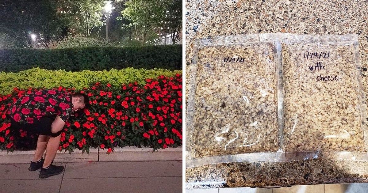 18 Photos qui, par le plus pur des hasards, se sont avérées exceptionnelles 18 Photos qui, par le plus pur des hasards, se sont avérées exceptionnelles