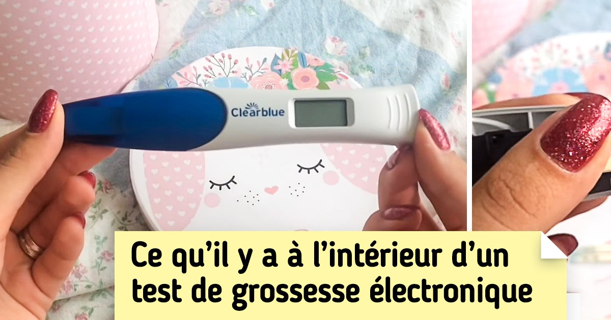 18 Photos qui montrent à quoi ressemblent des objets ordinaires vus de l’intérieur