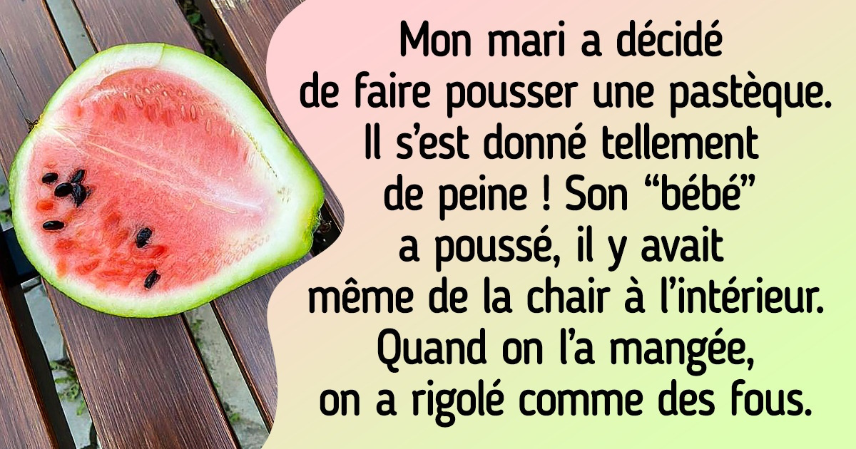 20+ Amoureux du potager qui savent que tout peut arriver dans un jardin