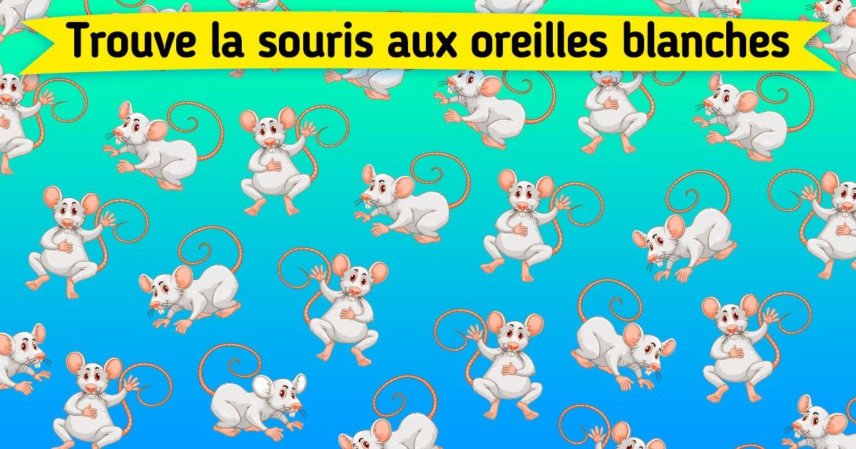 Test : découvre où se cache l’intrus