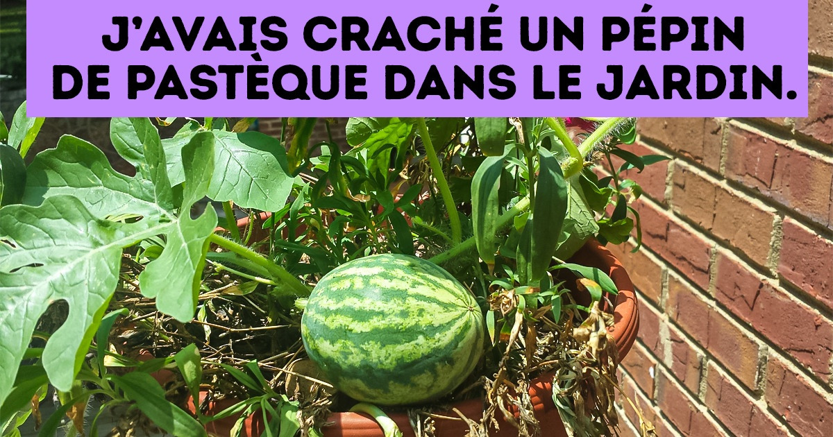 17 Découvertes qui nous ont fait tourner la tête
