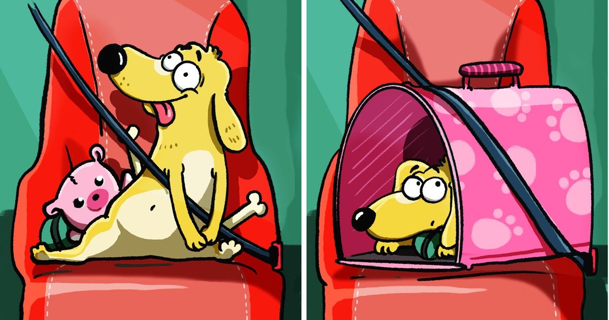Comment utiliser différents moyens de transport avec ton animal, et quelques recommandations générales concernant sa sécurité Comment utiliser différents moyens de transport avec ton animal, et quelques recommandations générales concernant sa sécurité