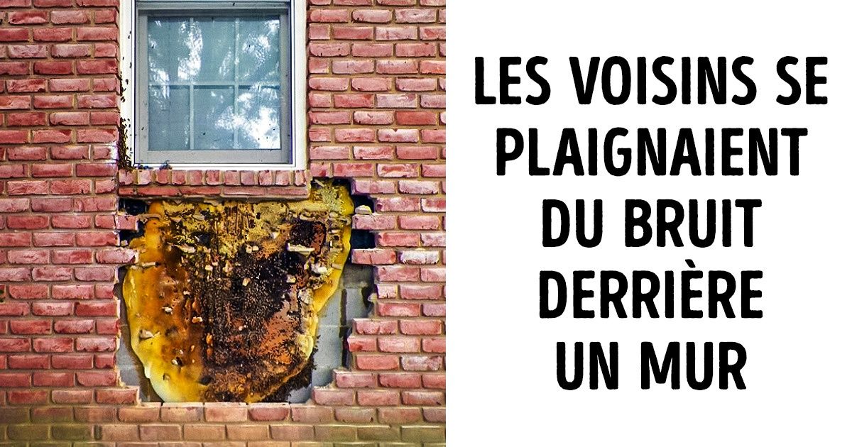 20+ Personnes qui ont reçu une mauvaise nouvelle de la part du destin