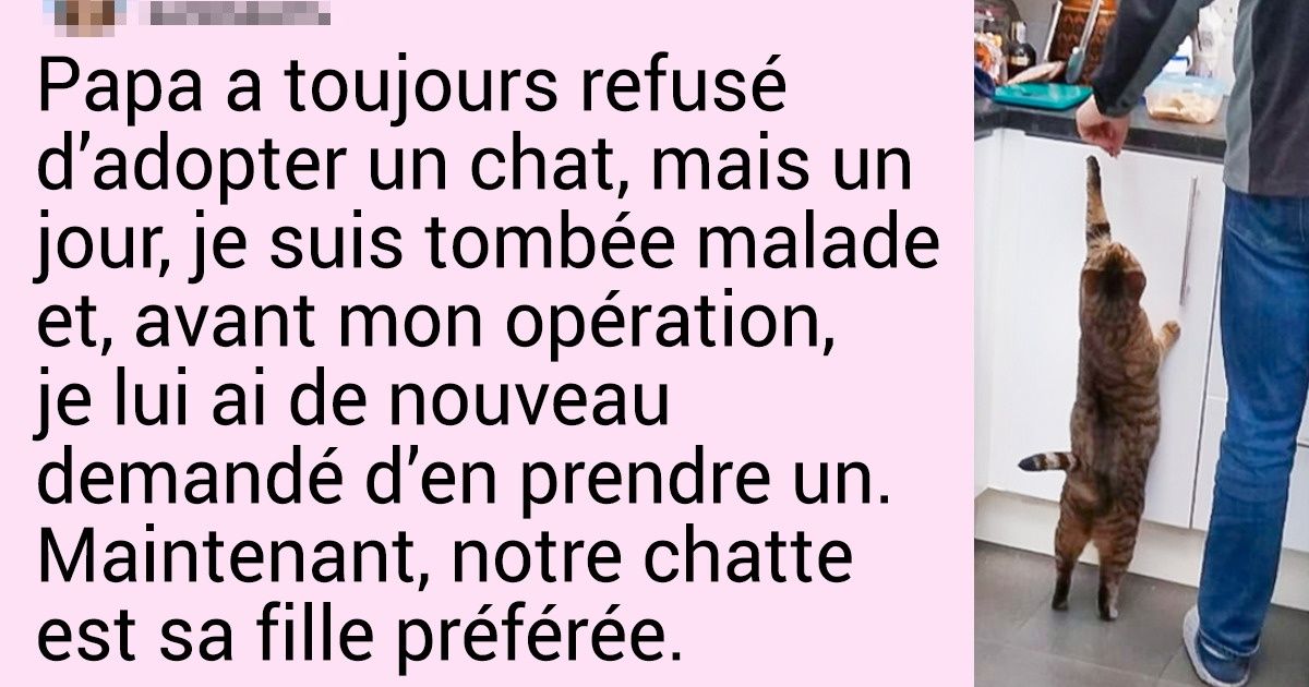 20 Hommes qui refusaient catégoriquement d’adopter des animaux domestiques, mais qui ne peuvent maintenant plus vivre sans eux 20 Hommes qui refusaient catégoriquement d’adopter des animaux domestiques, mais qui ne peuvent maintenant plus vivre sans eux