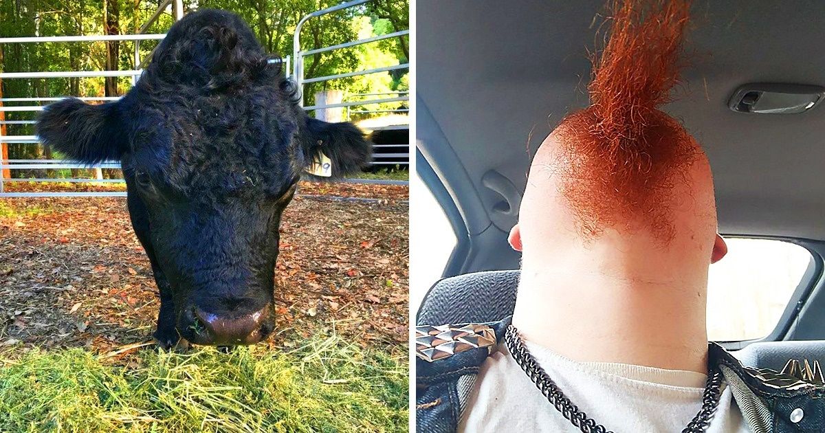 Ces 16 photos incroyables prouvent que l’angle de prise de vue peut tout changer !