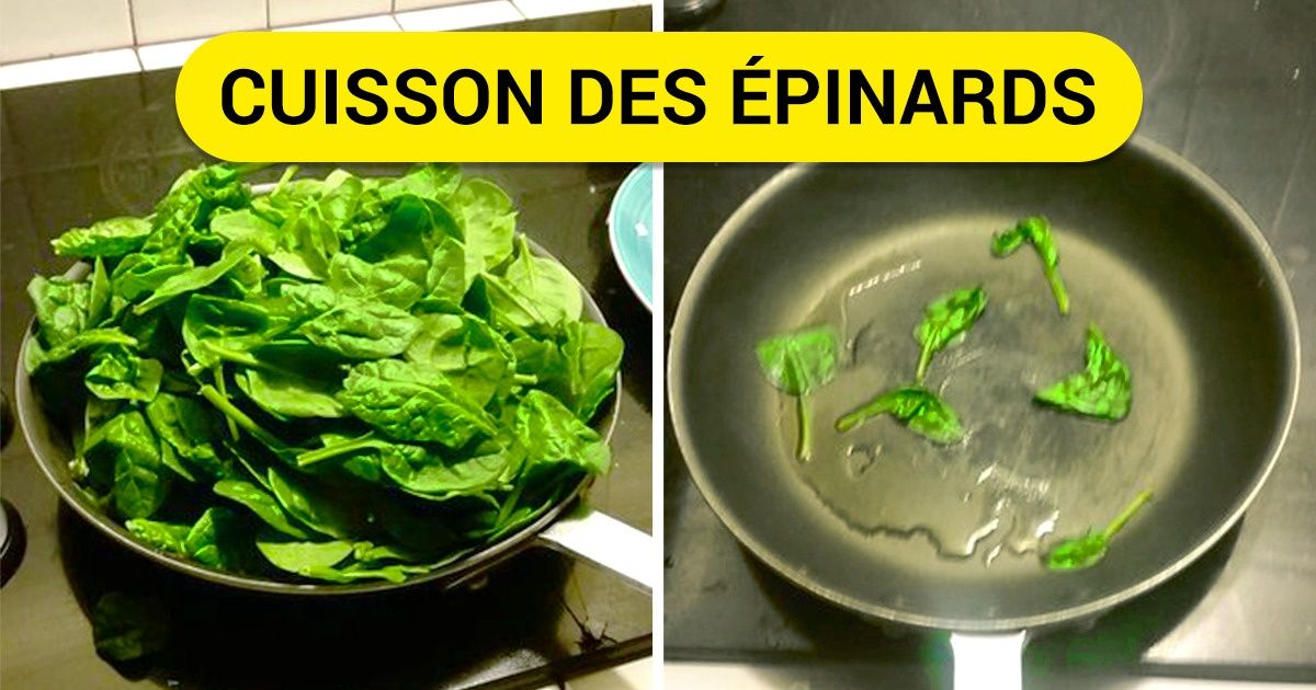 19 Mèmes sur la nourriture qui te feront mal au ventre tellement tu vas rire