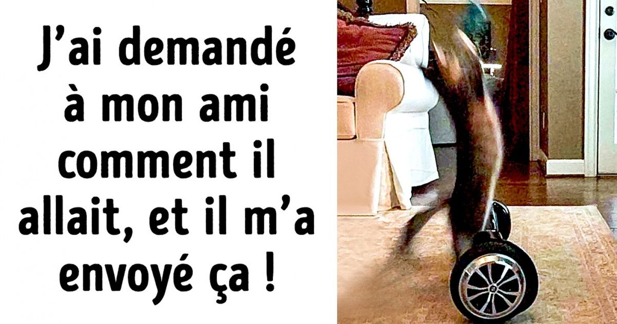 Découvre ces photos où il se passe des choses vraiment étranges !