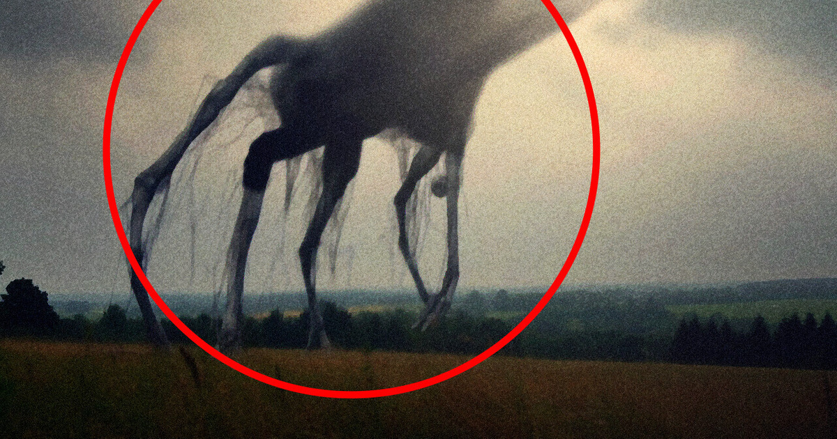 Et si le Niveau d’Oxygène de la Terre Augmentait Jusqu’à 50 % ? Et si le Niveau d’Oxygène de la Terre Augmentait Jusqu’à 50 % ?