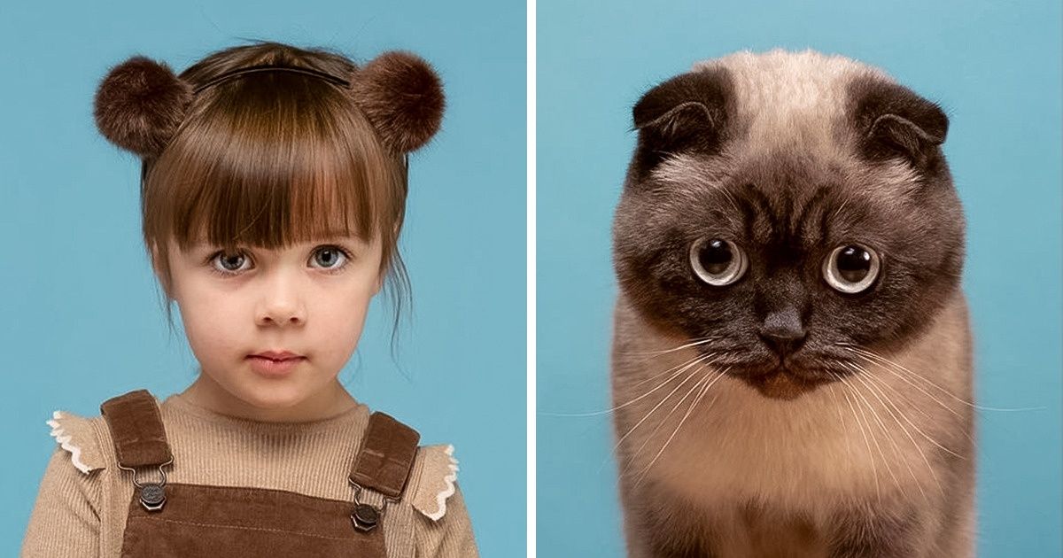 Un photographe compare les portraits d’animaux et de leurs propriétaires, et les résultats sont éblouissants (nouvelle sélection)