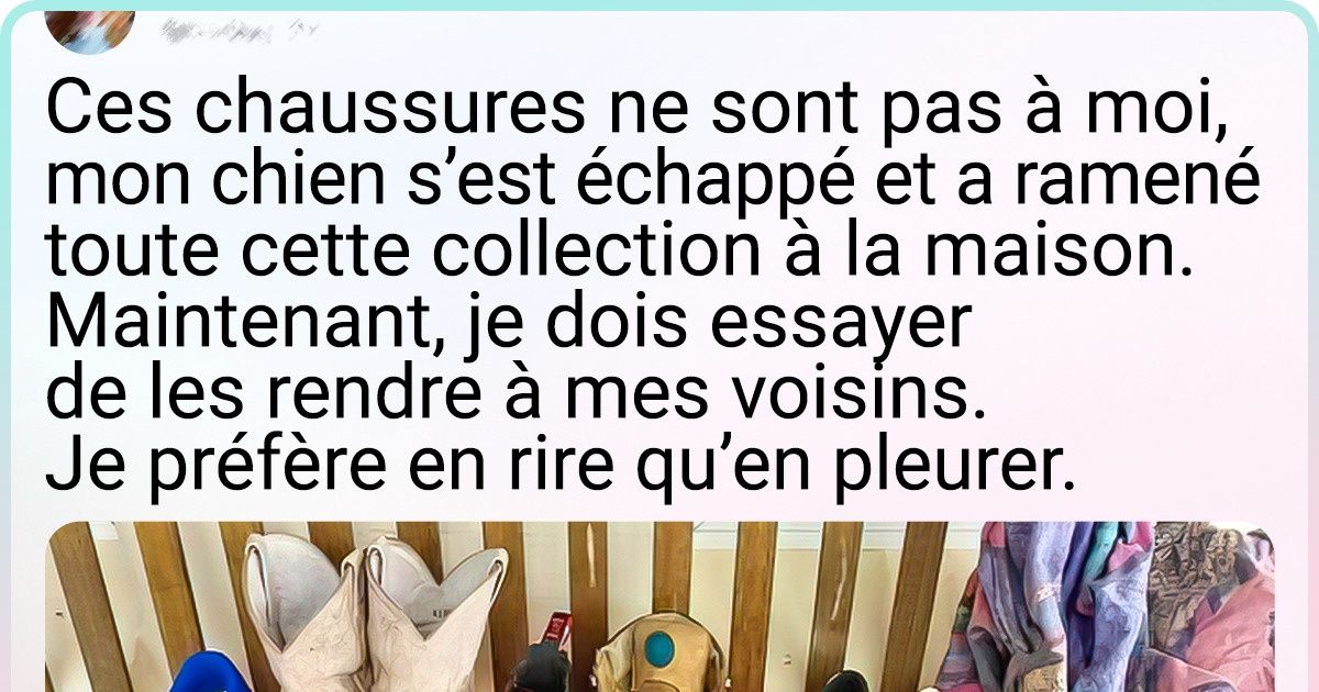 chaussure anthologie