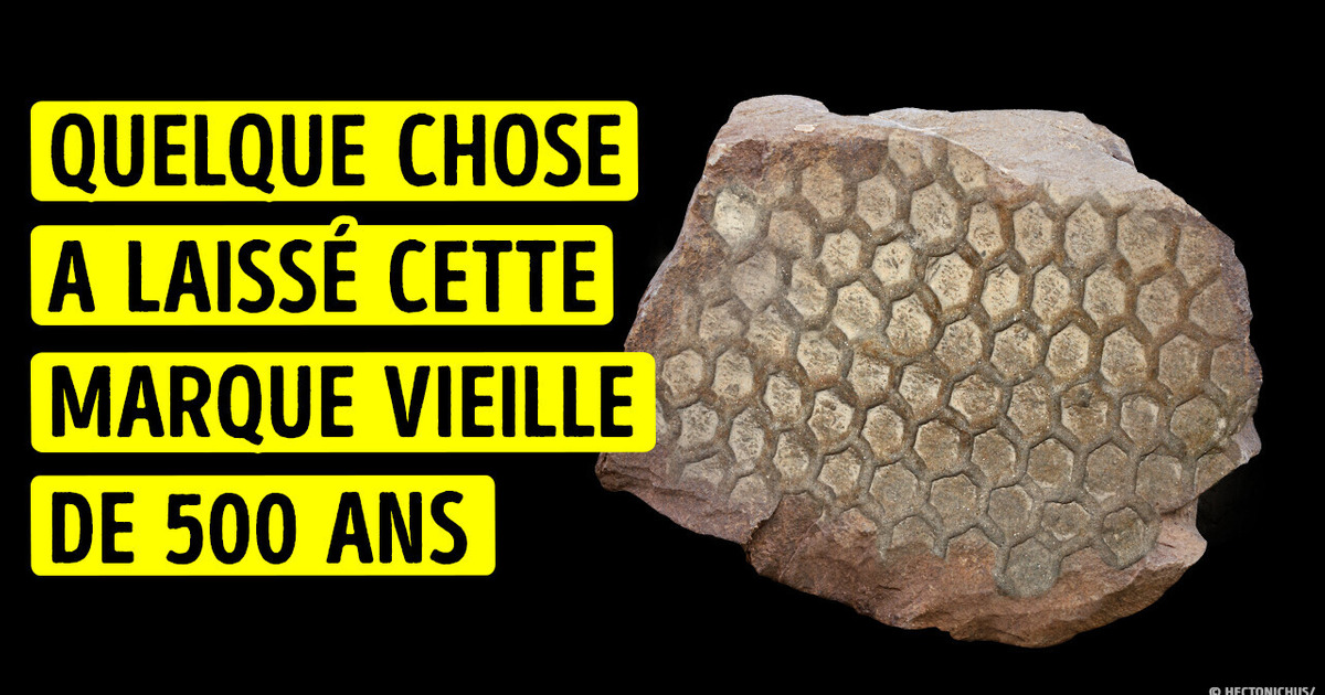 Qu’est-ce qui a Créé cette Marque Bizarre Vieille de 500 Millions d’Années ?
