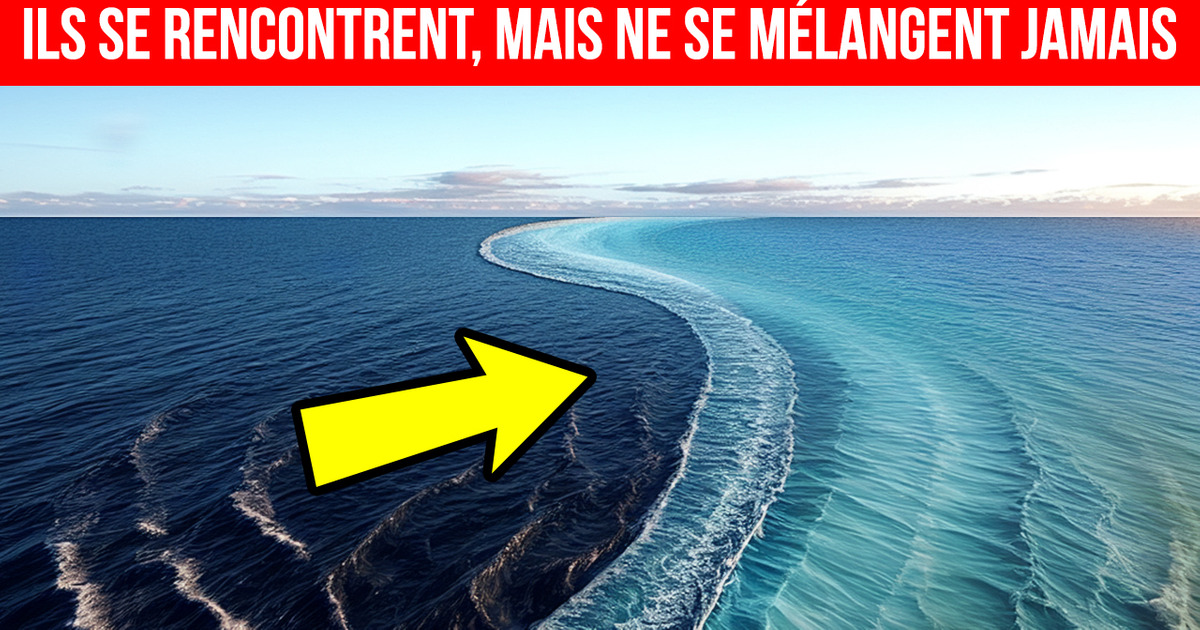 Pourquoi Les Océans Atlantique et Pacifique Refusent-Ils De Fusionner ?