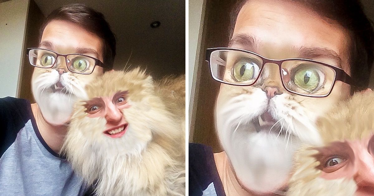 Ces personnes ont échangé leur visage avec celui de leur animal de compagnie, et le résultat est étrange mais hilarant ! Ces personnes ont échangé leur visage avec celui de leur animal de compagnie, et le résultat est étrange mais hilarant !