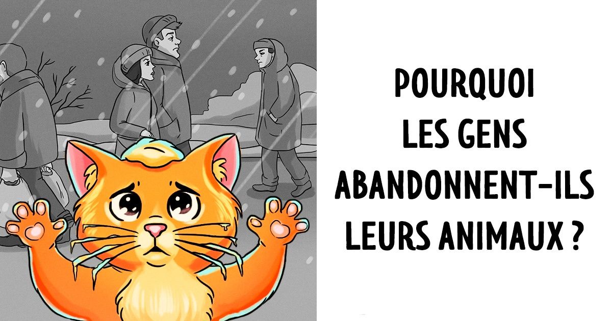Une petite histoire à propos des sentiments qu’éprouvent les animaux abandonnés Une petite histoire à propos des sentiments qu’éprouvent les animaux abandonnés
