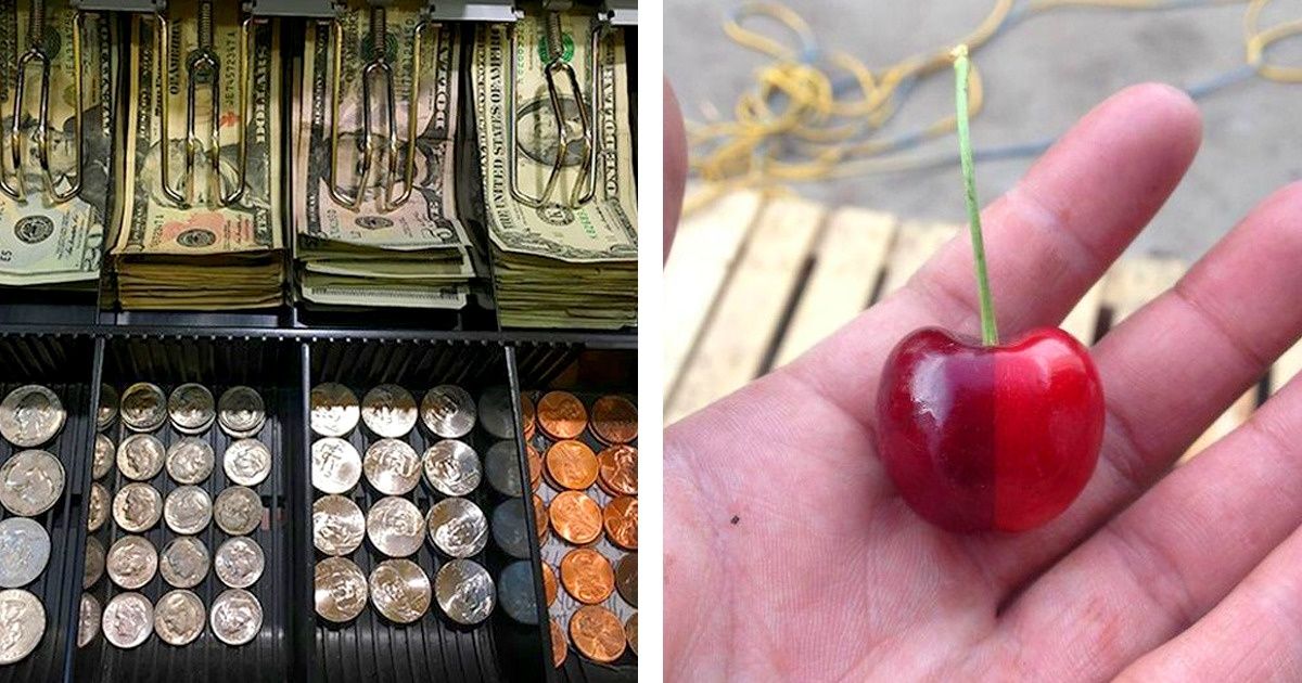 28 Photos qui sont plus satisfaisantes que sauter dans les tas de feuilles en automne 28 Photos qui sont plus satisfaisantes que sauter dans les tas de feuilles en automne