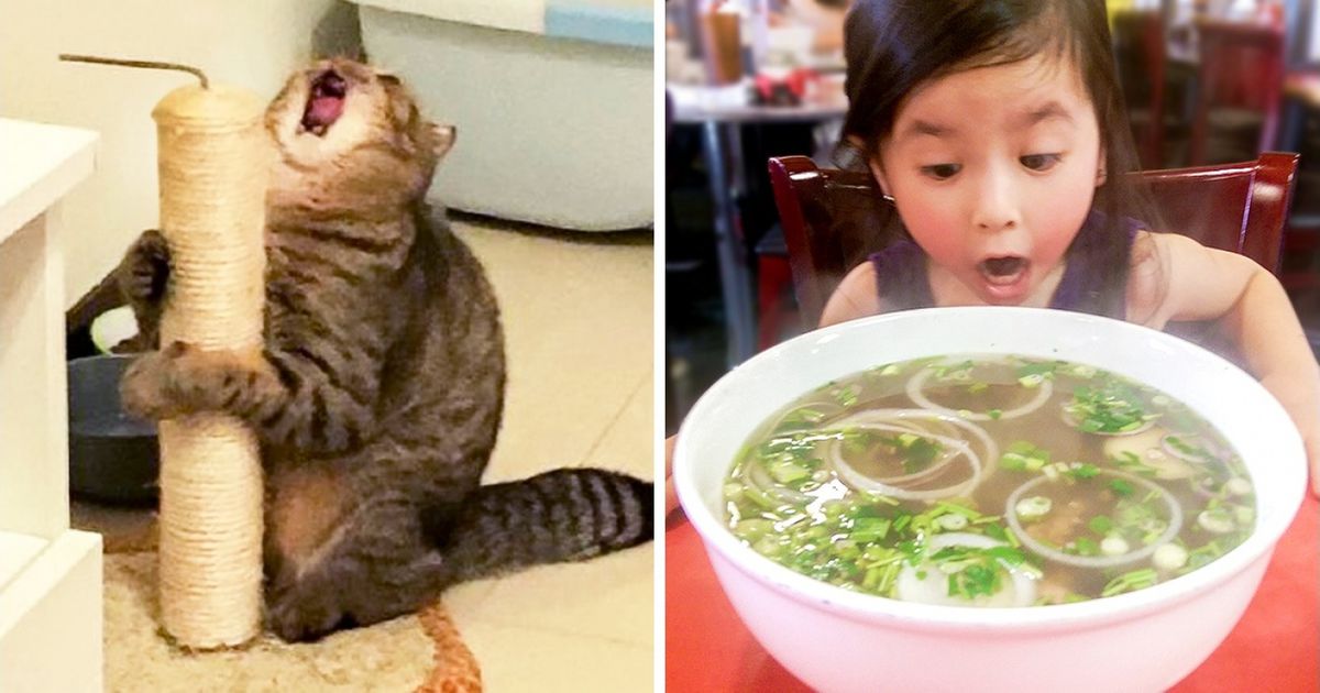 Ces photos immortalisent les émotions de personnes ou animaux très expressifs