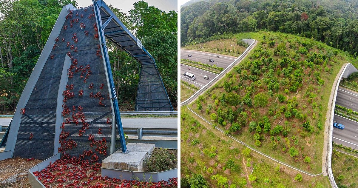 22 Designers qui nous montrent ce que signifie “respecter la nature” 22 Designers qui nous montrent ce que signifie “respecter la nature”