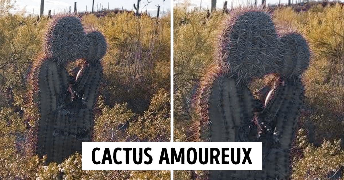 15 Moments où la vie a surpris les internautes de manière très originale