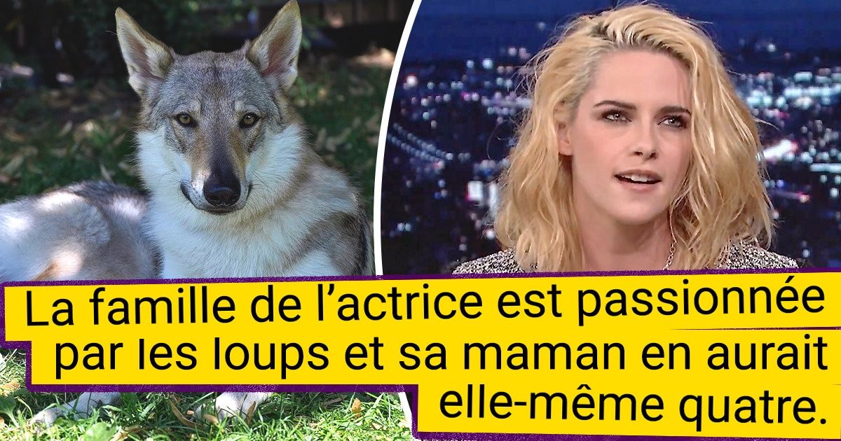 10 Célébrités qui ont décidé de faire autrement en adoptant des animaux de compagnie hors du commun
