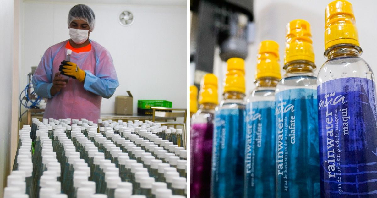 Des boissons antioxydantes tombées du ciel, le nouveau concept de ces entrepreneurs Des boissons antioxydantes tombées du ciel, le nouveau concept de ces entrepreneurs