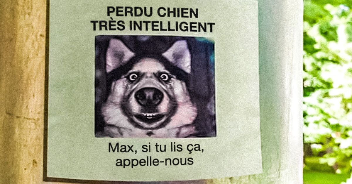 22 Échecs qui vont te faire pleurer (de rire, bien entendu)