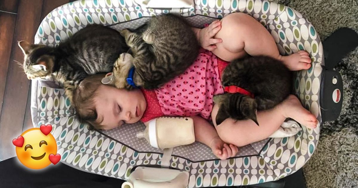 20+ Photos d’animaux qui font un énorme câlin à leur maître (certains maîtres aussi sont tombés dans les bras de Morphée)