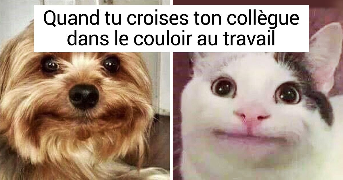 20+ Moments authentiques qui nous sont étrangement familiers 20+ Moments authentiques qui nous sont étrangement familiers