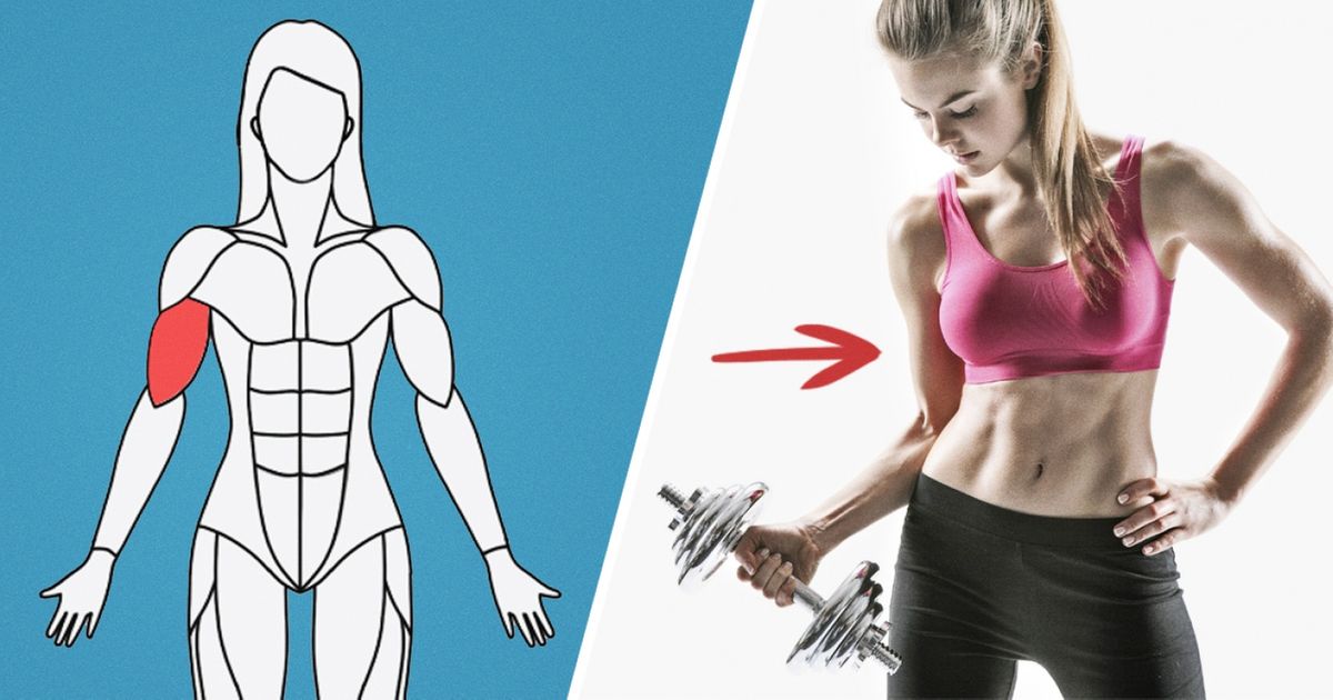 Ce site Internet te propose un programme d’exercices pour chaque groupe de muscles de ton corps