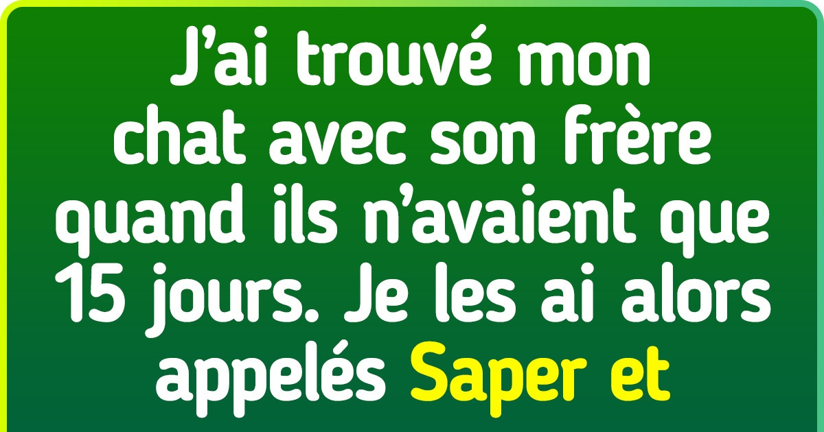 15+ Internautes qui ont entendu le nom le plus étrange d’un animal de compagnie