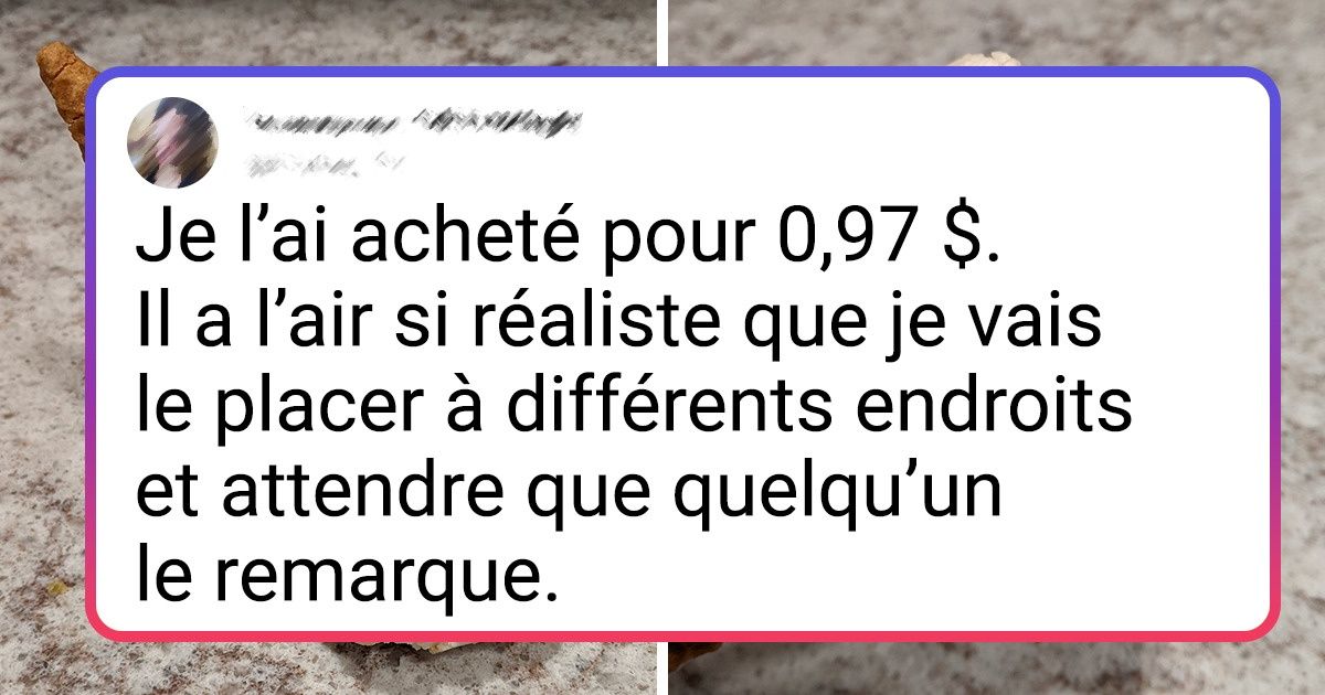 20+ Perles de friperie que des collectionneurs ont trouvées parmi la camelote