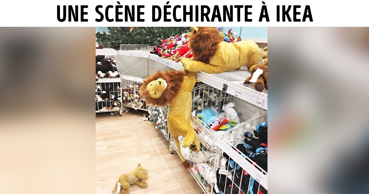25 Scènes de la vie quotidienne qui contiennent plus de drame et de passion que n’importe quel feuilleton