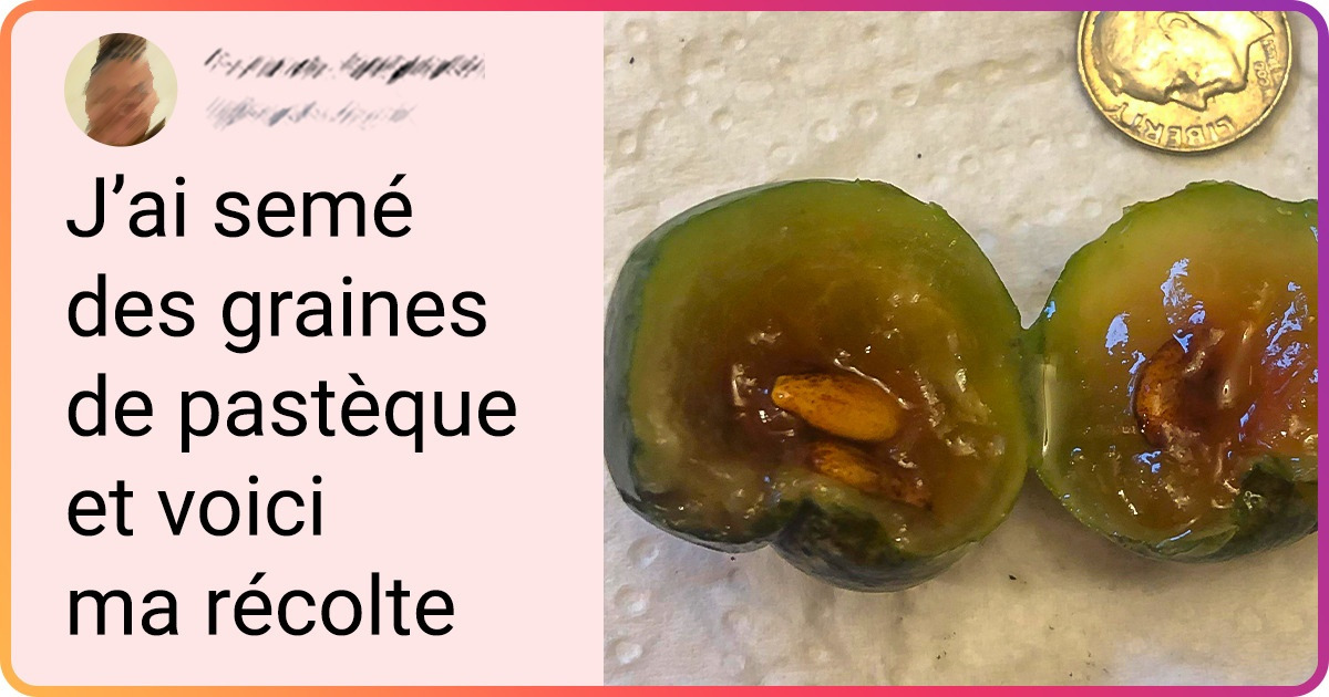 17 Jardiniers en herbe qui ne sont pas peu fiers de leur récolte