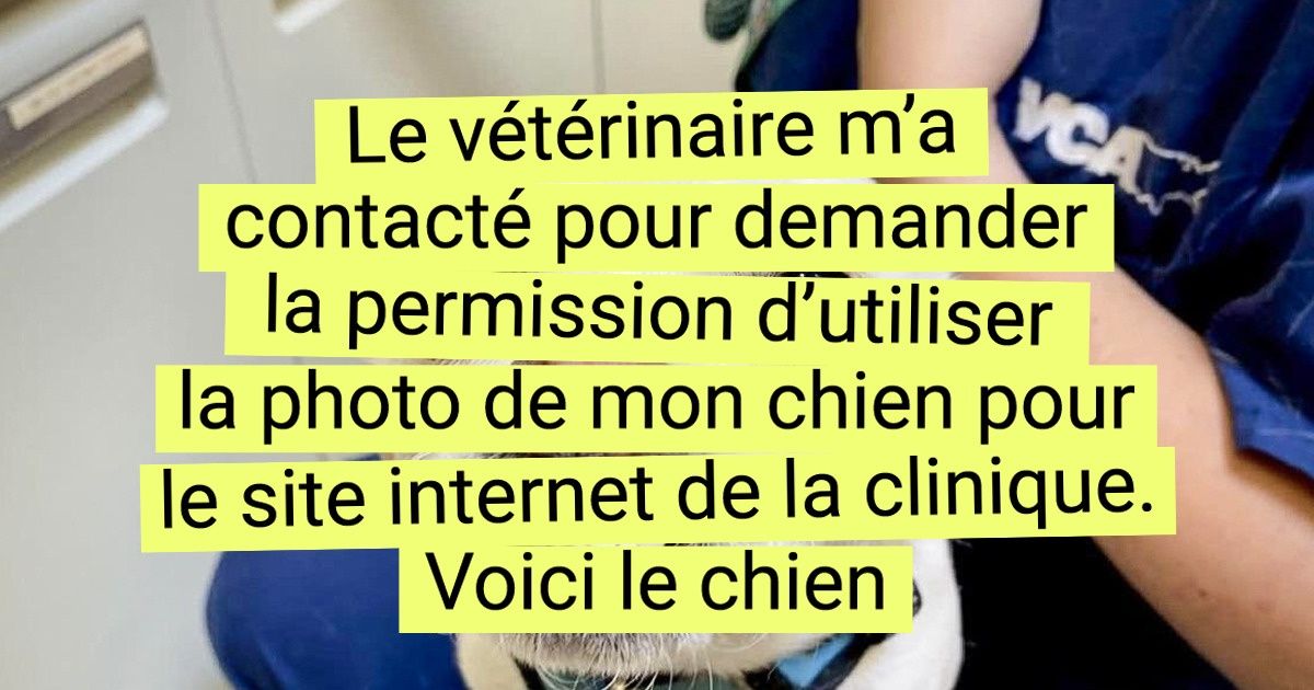 19 Images craquantes qui prouvent que l’on ne s’ennuie jamais lorsque l’on est vétérinaire