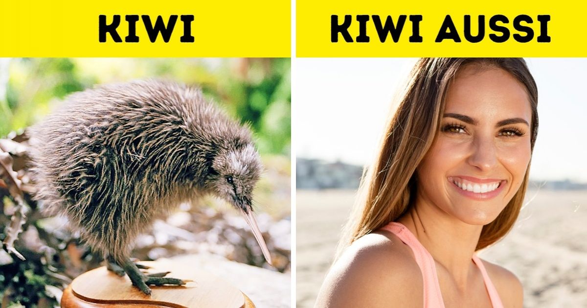 12 choses sur la Nouvelle-Zélande que Sophie, une amoureuse de ce beau pays, nous révèle après y avoir vécu un an et demi...