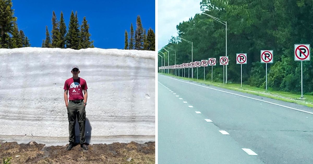 27 Internautes ont montré, avec une simple photo, les curiosités de certains pays du monde