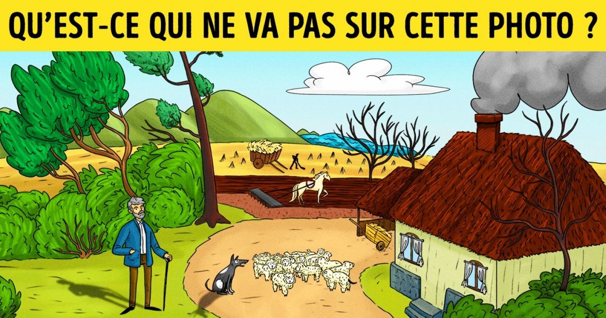 Énigme pour les plus observateurs : Peux-tu trouver toutes les erreurs sur cette photo ?