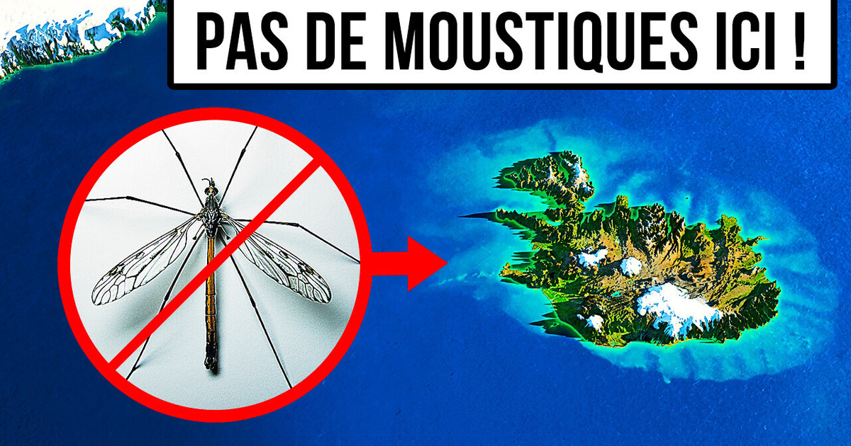Le Seul Endroit Sur Terre où il n’y a Pas de Moustiques