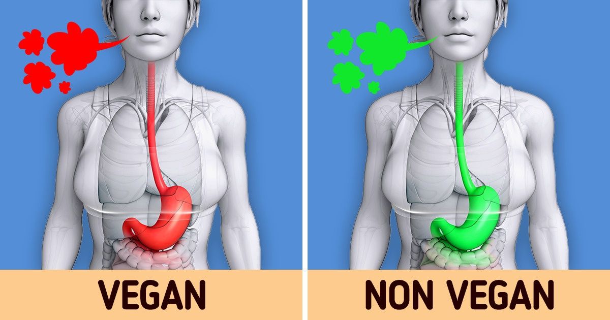10 Choses qui se produisent dans notre corps lorsque nous devenons végétaliens