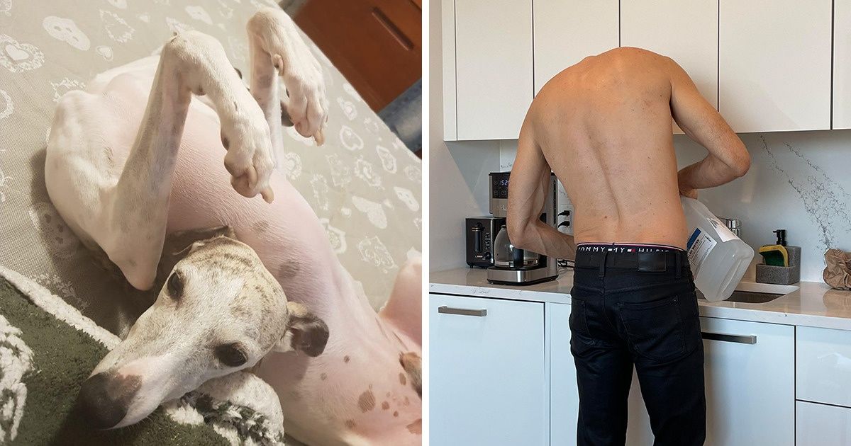 15+ Photos qui nous ont plongés dans la plus grande confusion