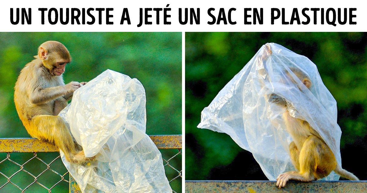 16 Images bouleversantes qui montrent jusqu’où nous sommes arrivés dans la destruction de la Terre