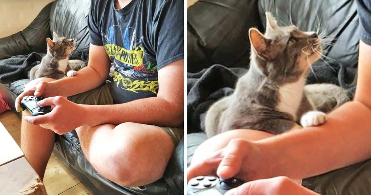 20+ Photos qui vont te donner envie de passer plus de temps avec ton animal de compagnie 20+ Photos qui vont te donner envie de passer plus de temps avec ton animal de compagnie