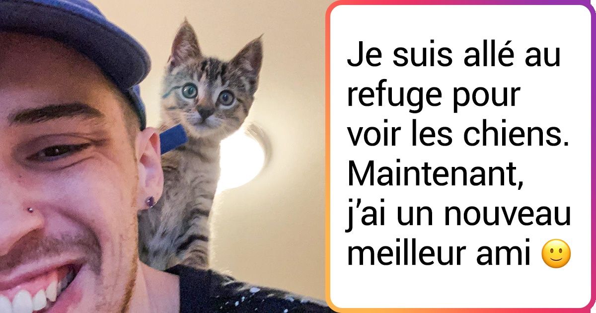 18 Personnes qui n’ont pas résisté à la tentation de ramener un animal après avoir visité un refuge
