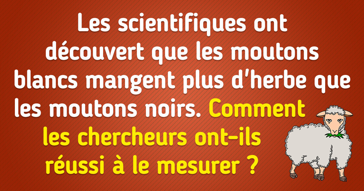 10+ Énigmes astucieuses pour des esprits brillants 10+ Énigmes astucieuses pour des esprits brillants