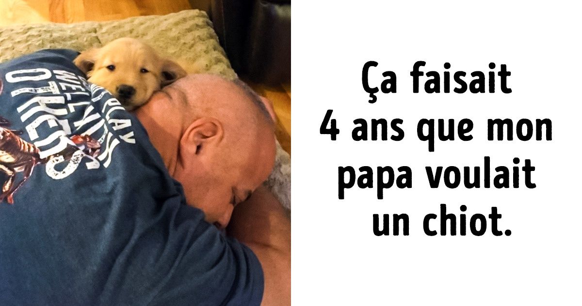 18 Photos qui feront vibrer même les cœurs de pierre