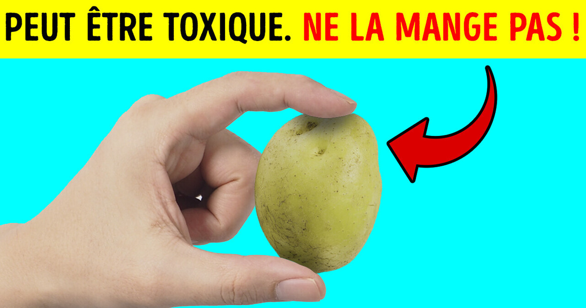 Peut-On Manger Les Pommes De Terre Vertes ? Oui, Mais En Faisant Attention