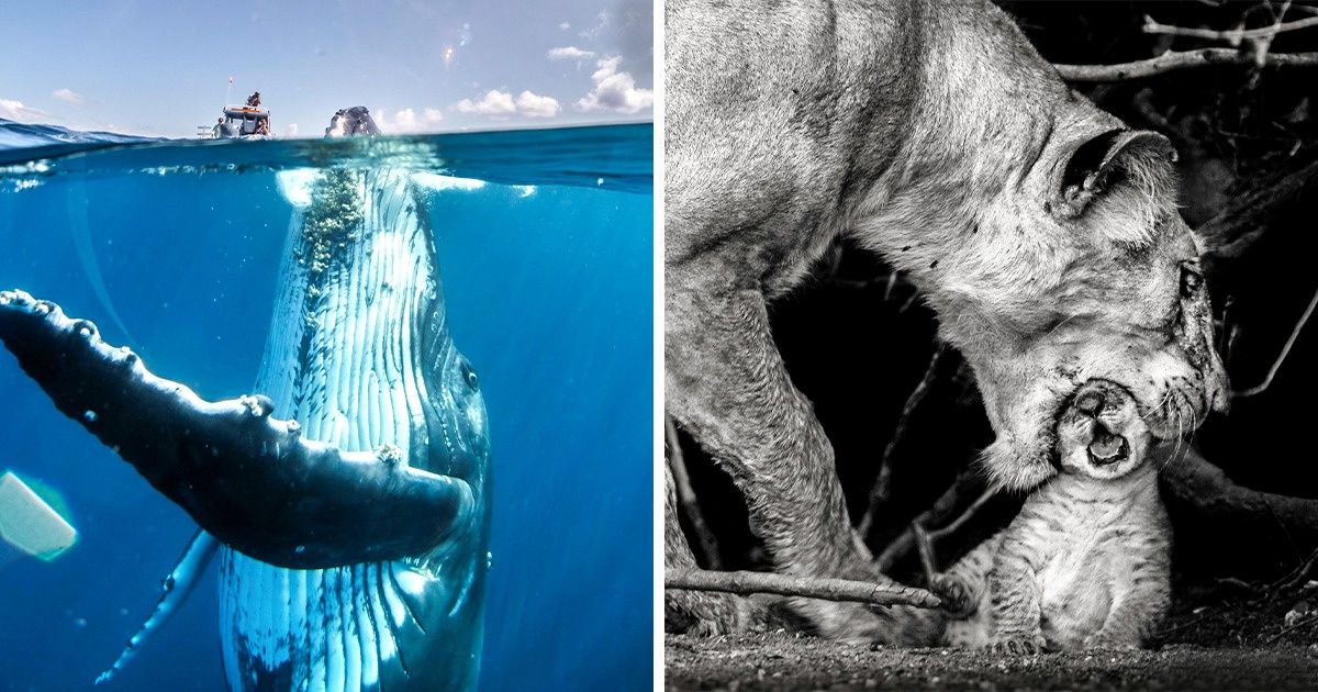 25 Photos du “National Geographic” qui donnent l’impression que le temps s’est arrêté 25 Photos du “National Geographic” qui donnent l’impression que le temps s’est arrêté