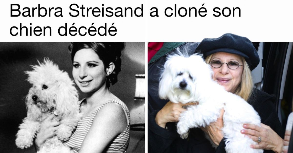 Certaines célébrités sont capables de tout et nous t’en donnons ici cinq preuves vraiment difficiles à croire